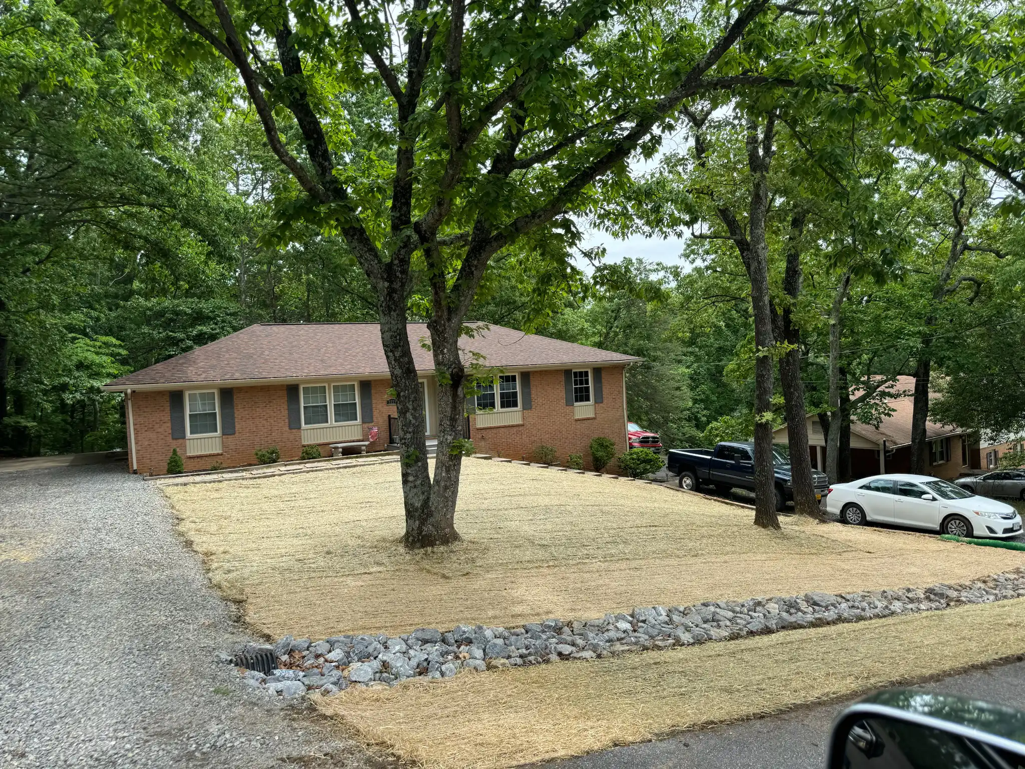 Erosion control matting installed on a slope